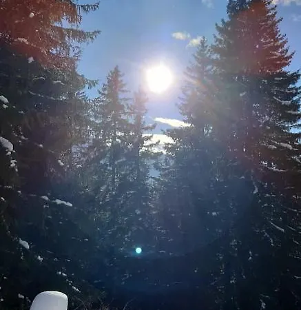 דירה Bergglueck *