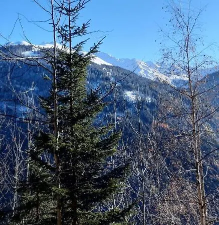 דירה Bergglueck *